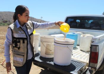 GOBIERNO ESTATAL Y FEDERAL INVIERTEN 15 MDP EN PLAN EMERGENTE CONTRA LA MOSCA DE LA FRUTA