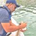 ANÁLISIS MICROSCÓPICOS REALIZADOS POR COEPRIS DESCARTAN PRESENCIA DE MAREA ROJA EN BAHÍA DE LA PAZ