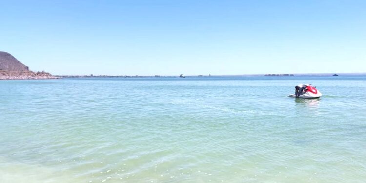 NUEVOS MUESTREOS EN ZONAS EXTERNAS DE LA BAHÍA DE LA PAZ DESCARTAN MAREA ROJA TÓXICA