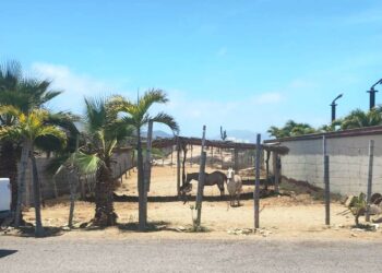Supervisa Ayuntamiento obstrucción de vía pública en la comunidad de Cerritos