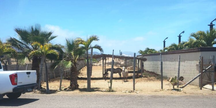 Supervisa Ayuntamiento obstrucción de vía pública en la comunidad de Cerritos