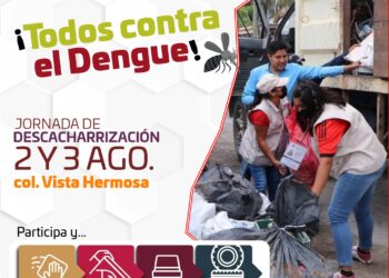 “Lava, tapa, voltea y tira recipientes que acumulen agua de lluvia”
