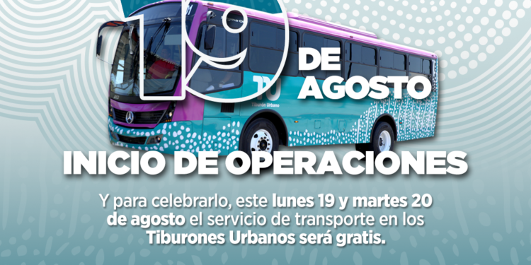 Este lunes se activan las dos rutas del Tiburón Urbano, súbete y conócelas