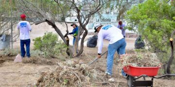 REALIZA FONMAR JORNADA DE LIMPIEZA EN PLAYA EL COMITÁN