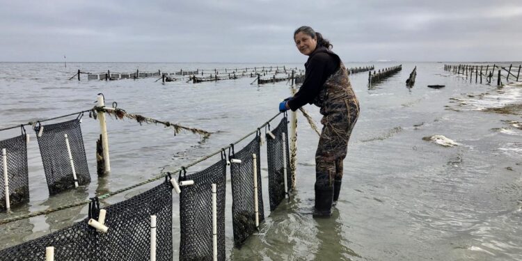TRABAJA SEPADA EN CRUZADA CONTRA LAS VIOLENCIAS DE GÉNERO
