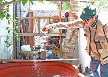 BRIGADAS DE CONTROL LARVARIO HAN TRABAJADO EN MÁS DE 32 MIL VIVIENDAS PARA PREVENIR EL DENGUE