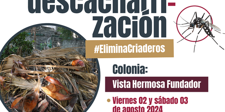 REALIZARÁ GOBIERNO ESTATAL CAMPAÑA DE DESCACHARRIZACIÓN EN LOS CABOS