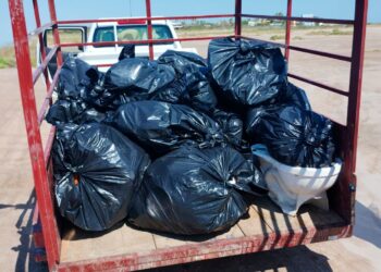 Recolectan más de 92 kilogramos de residuos en playa El Comitán