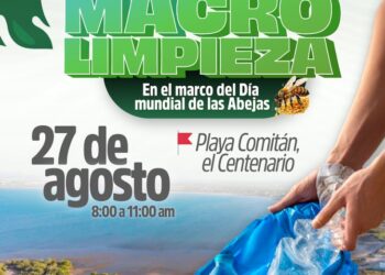 Invita Gobierno Municipal de La Paz a octava macro limpieza de playas