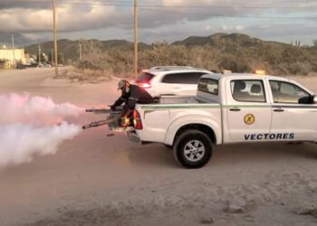 Emite Gobierno de Los Cabos recomendaciones para evitar la picadura del mosquito trasmisor del dengue