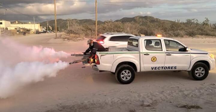 Emite Gobierno de Los Cabos recomendaciones para evitar la picadura del mosquito trasmisor del dengue