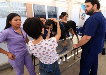 UABCS invita a su Feria de Sensibilización y Cuidado Animal