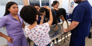 UABCS invita a su Feria de Sensibilización y Cuidado Animal