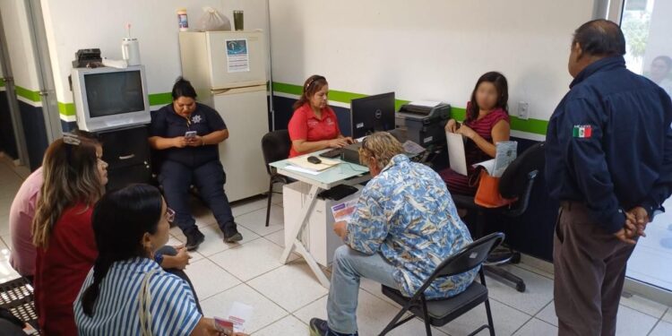 Aplican sanciones a dueños de perros señalados de atacar tortugas marinas