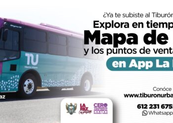 Atienden corporaciones de seguridad llamado del botón de pánico en el Tiburón Urbano 