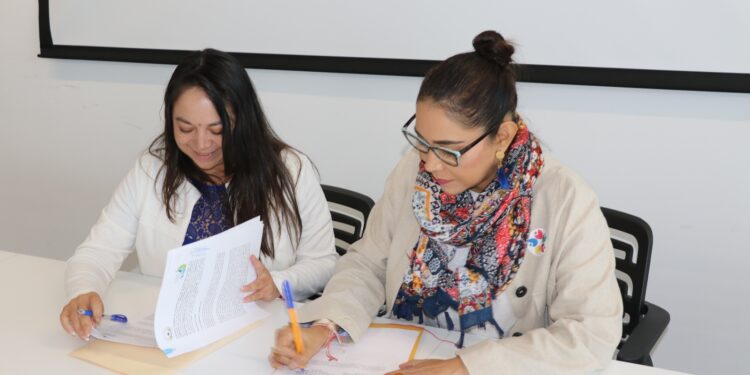 LA CEDHBCS Y LA COMISIÓN ESTATAL DE DERECHOS HUMANOS DE CAMPECHE FIRMAN CONVENIO PARA IMPLEMENTAR EL VIOLENTÓMETRO EN BAJA CALIFORNIA SUR