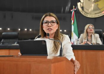 “Inicio esta XVII Legislatura en el contexto de un país que enfrenta severos, problemas generados”: diputada Guadalupe Saldaña