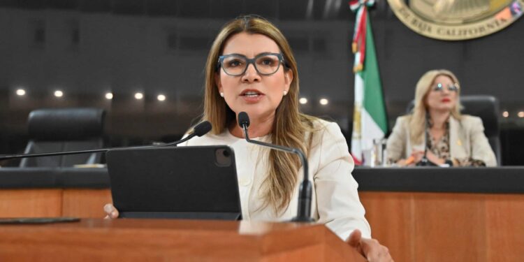 “Inicio esta XVII Legislatura en el contexto de un país que enfrenta severos, problemas generados”: diputada Guadalupe Saldaña