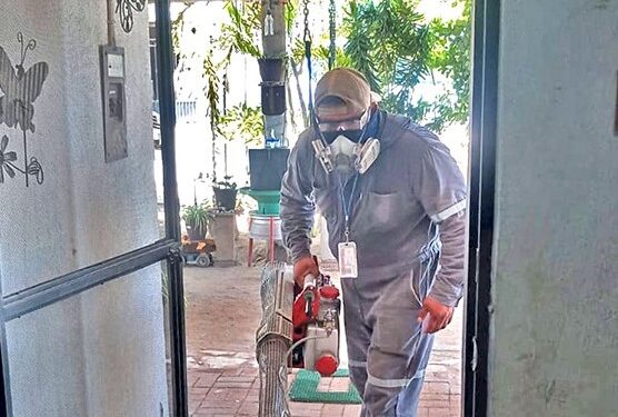EMPRENDE SALUD ESTATAL OPERATIVO CONTRA DENGUE EN COLONIAS DE SAN JOSÉ DEL CABO