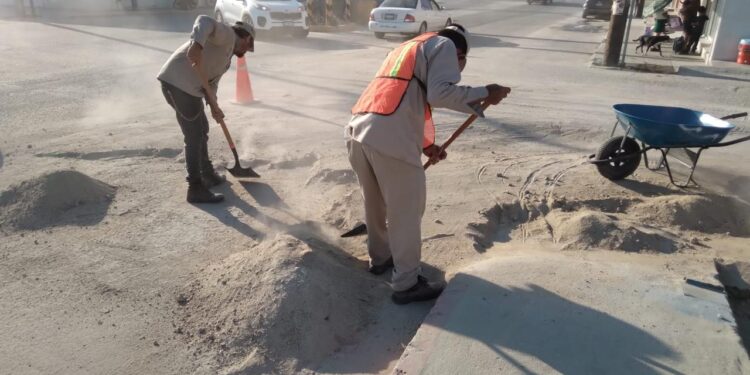 Sigue la limpieza de camellones y avenidas de San José del Cabo
