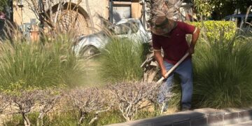 Impulsa Servicios Públicos acciones de limpieza en el bulevar Teniente José Antonio Mijares en SJC