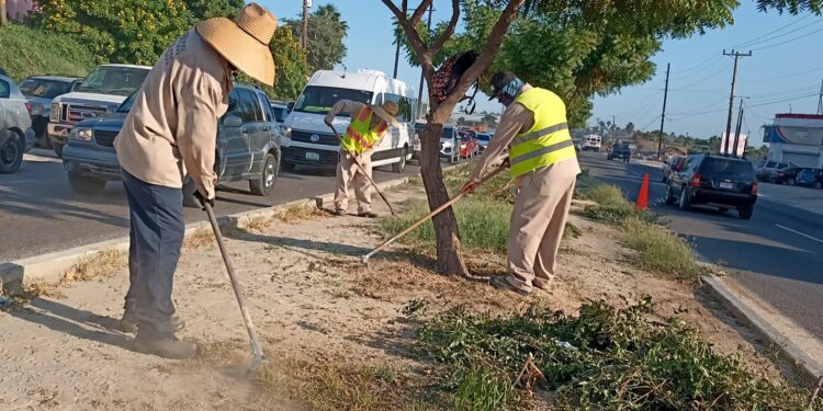 Refuerza Servicios Públicos el mantenimiento en camellones