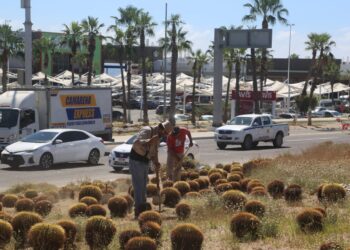 Rehabilita Servicios Públicos la Glorieta “Fonatur” de SJC