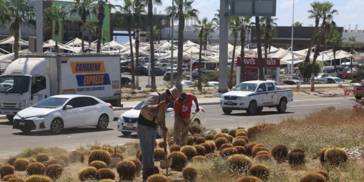 Rehabilita Servicios Públicos la Glorieta “Fonatur” de SJC