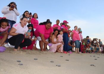 Celebró DIF Los Cabos la liberación de tortugas con personas sobrevivientes de cáncer de mama