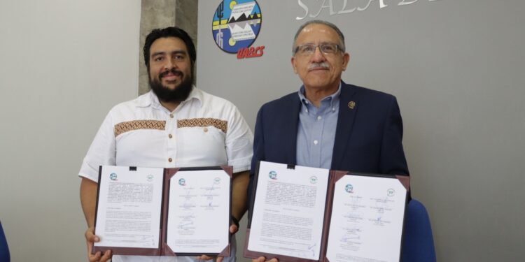 UABCS y Sociedad Mexicana de Trasplantes unen esfuerzos para capacitación en donación en asistolia controlada