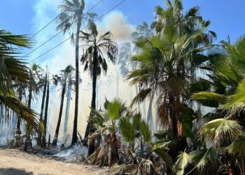 Autoridades atienden tres incendios simultáneos en Todos Santos
