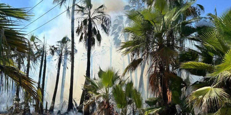 Autoridades atienden tres incendios simultáneos en Todos Santos