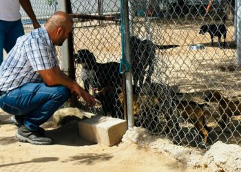 Autoridades municipales de La Paz supervisan protocolos en CEMAC 