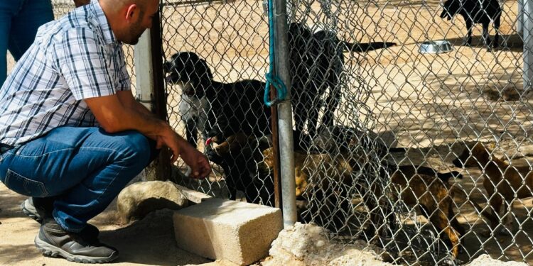 Autoridades municipales de La Paz supervisan protocolos en CEMAC