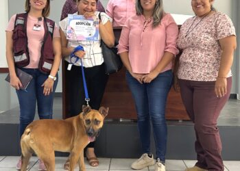 CEMAC y Juzgado Cívico de La Paz formalizan 22 adopciones responsables