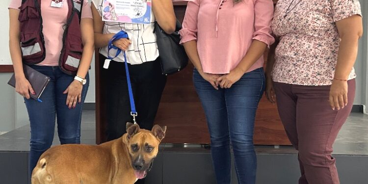 CEMAC y Juzgado Cívico de La Paz formalizan 22 adopciones responsables