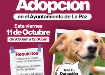 Centro Municipal de Atención Canina invita a la Feria de Adopción en el Ayuntamiento de La Paz