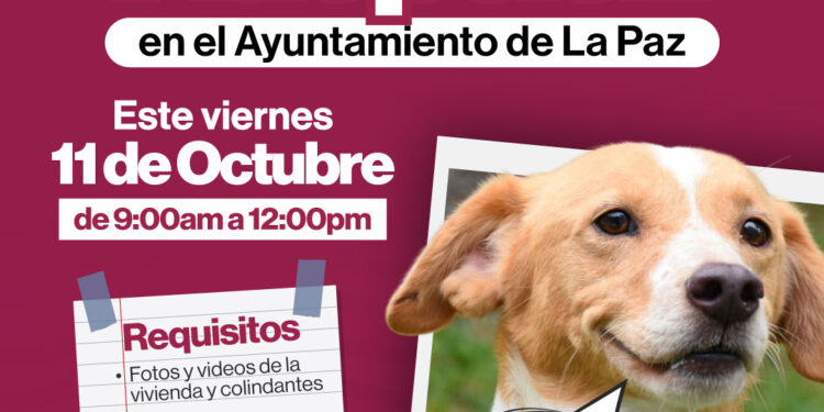 Centro Municipal de Atención Canina invita a la Feria de Adopción en el Ayuntamiento de La Paz