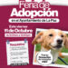 Centro Municipal de Atención Canina invita a la Feria de Adopción en el Ayuntamiento de La Paz