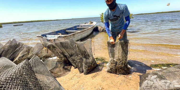 FORTALECE GOBIERNO ESTATAL A PRODUCTORES ACUÍCOLAS; DESTINAN 12.5 MILLONES DE PESOS