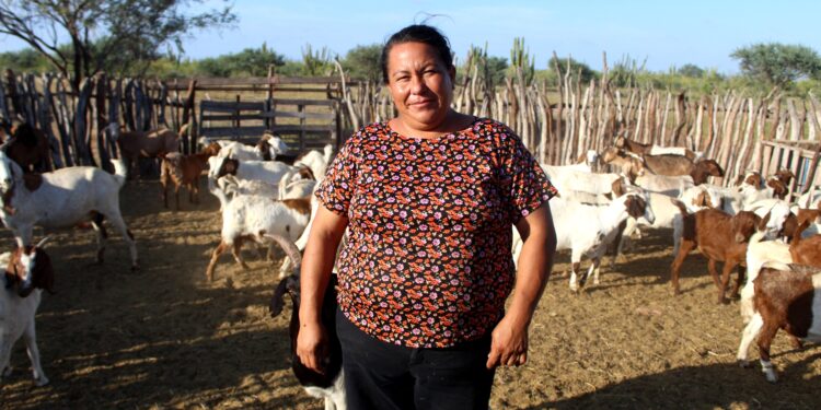 RECONOCE SEPADA A MUJERES RURALES DE BCS POR SU LIDERAZGO EN EL CAMPO