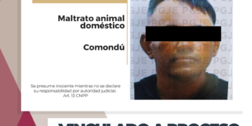 OBTIENE PGJE VINCULACIÓN A PROCESO CONTRA IMPUTADO POR MALTRATO ANIMAL DOMÉSTICO EN CIUDAD CONSTITUCIÓN 