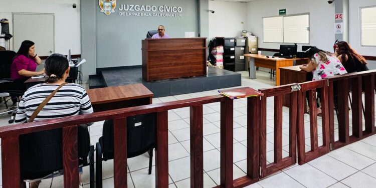 Mujer de La Paz es multada debido a las agresiones cometidas por su mascota