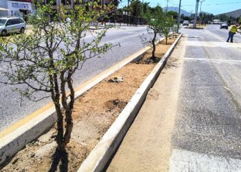 Servicios Públicos realiza trabajos de reforestación en El Pescadero