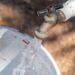 Abastece OOMSAPAS con agua potable a 101 colonias de La Paz el 9 de octubre