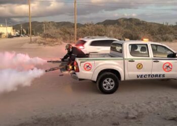 En Los Cabos se refuerzan acciones contra la propagación del mosquito transmisor del dengue