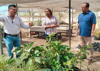 Ayuntamiento de La Paz impulsa proyectos sustentables en El Centenario