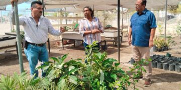 Ayuntamiento de La Paz impulsa proyectos sustentables en El Centenario