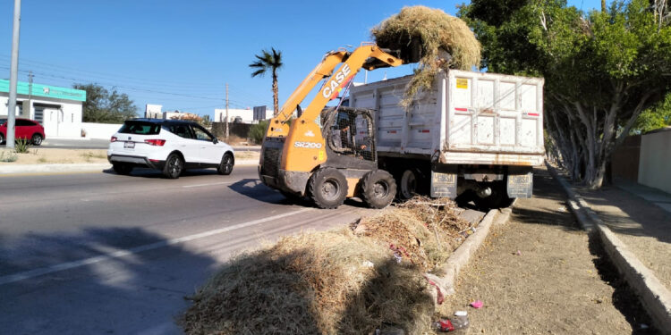 En una semana se recolectaron más de 2,300 toneladas de residuos 