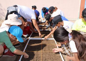 APLICAN PROGRAMA DE HUERTOS ESCOLARES EN 10 ESCUELAS DE LA PAZ Y LOS CABOS